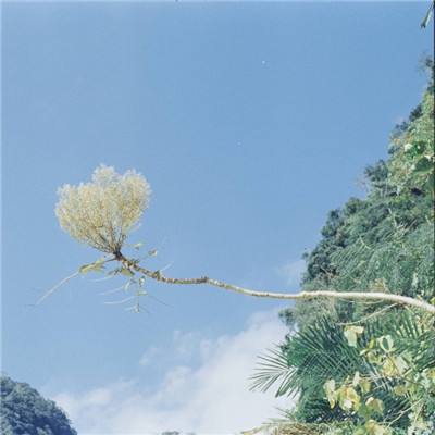 斩幻想手机版下载