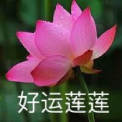 九游碧血剑手游下载